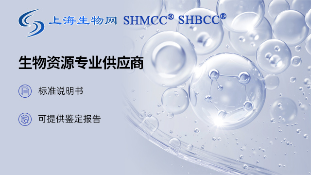 新疆黄杆菌SHMCCD73691-坚菌丝单顶孢-越南伯克霍尔德氏菌SHMCCD5
